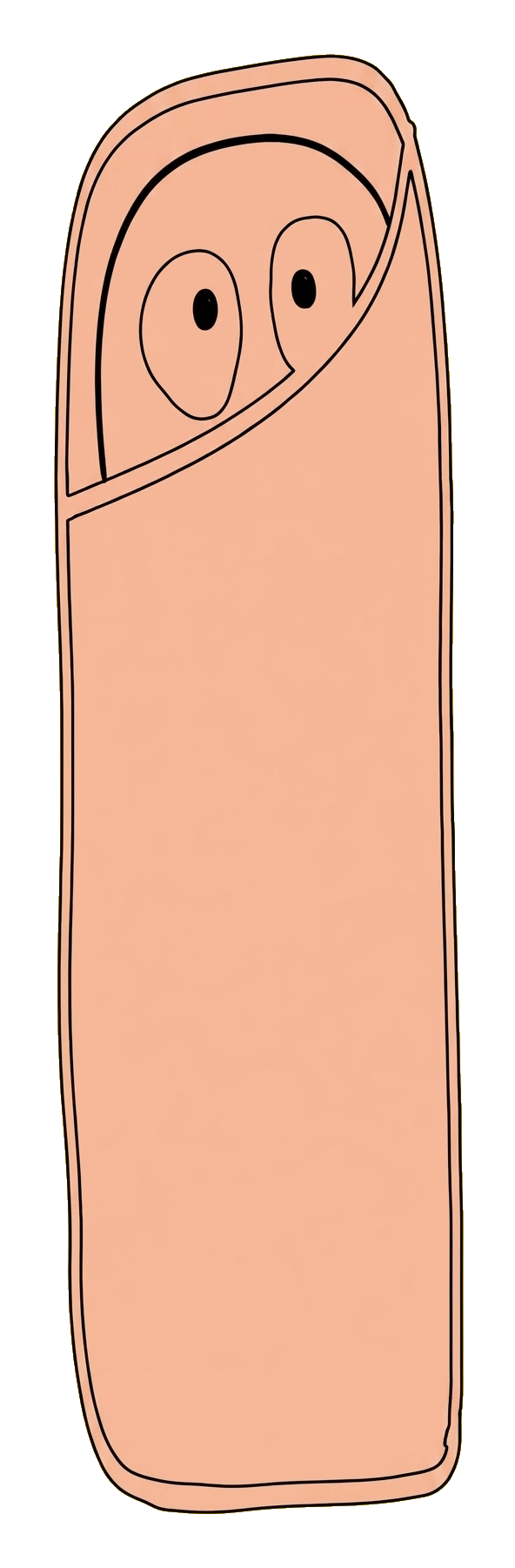 embrulhado
